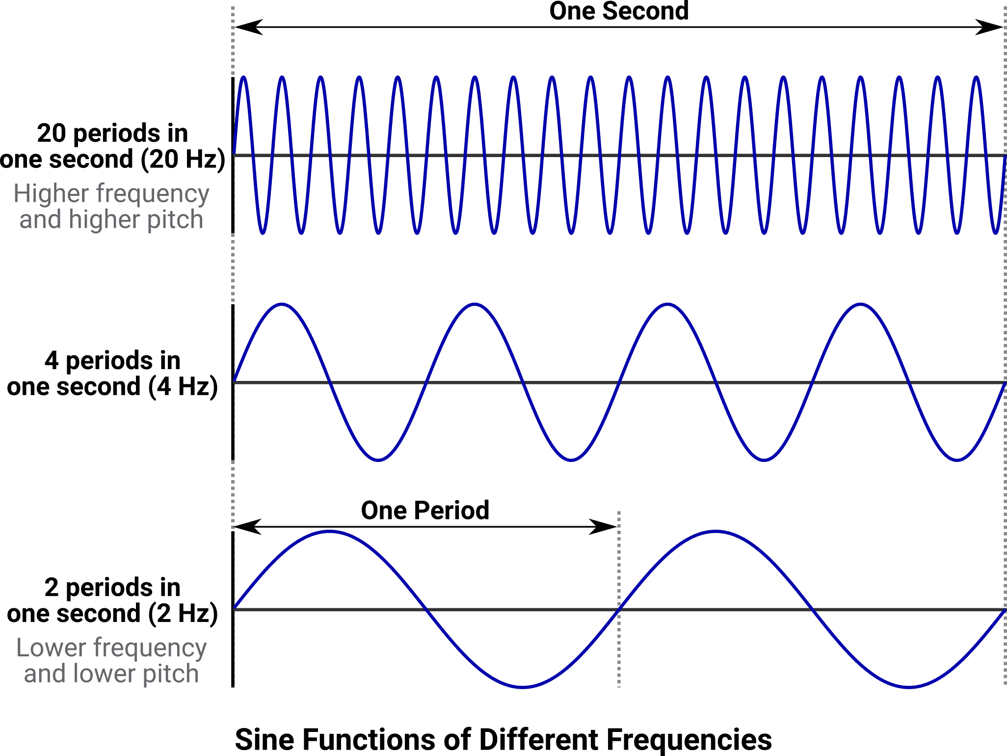 Examples of different frequencies applied to the sine function.